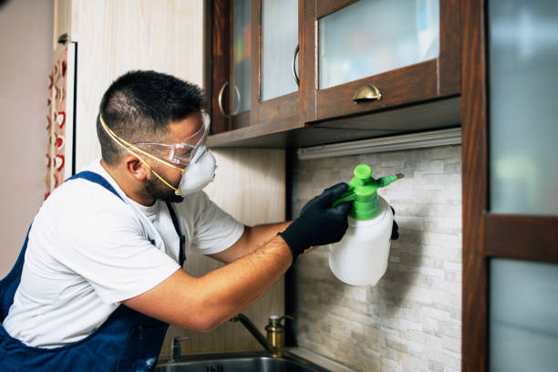Best Mosquito Control Services  in Pontotoc, MS