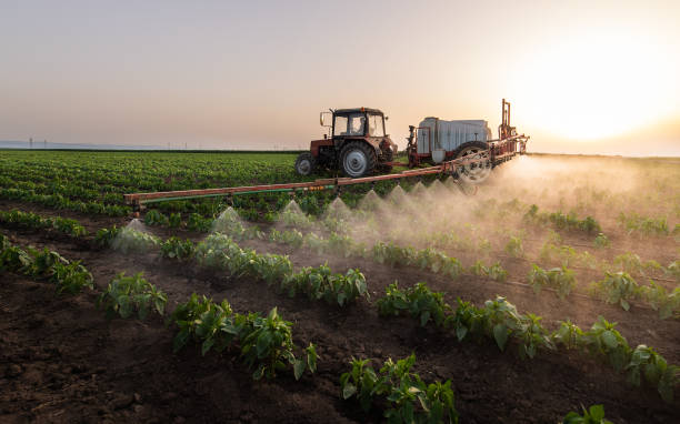 Reliable Pontotoc, MS Pest Control Solutions