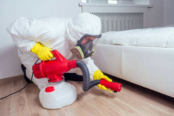 Best Bed Bug Extermination  in Pontotoc, MS