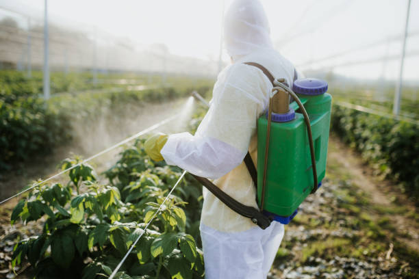 Best Pest Control Near Me  in Pontotoc, MS
